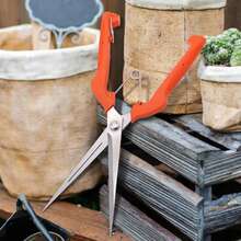 Tijeras para uvas, tijeras de podar, herramienta de jardín, parche para verduras, bonsái, carpintería profesional, recogida de frutas de acero inoxidable con cerradura X2KI - Rojo - Ver 6