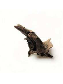 Decoración de arrecife de coral de madera a la deriva natural para acuario, rama para trepar de reptiles, accesorios para hábitat de tortugas, ornamentos de paisaje de madera realista para pecera, decoraciones para contenedores de vidrio, diseño de madera rústica única para decoración de acuario