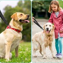 Dây xích chó bằng nylon phản quang chịu lực có tay cầm đệm - Thiết kế sọc ngắn để huấn luyện và kiểm soát - Lý tưởng cho giống chó lớn và vừa - màu đen - Xem 7