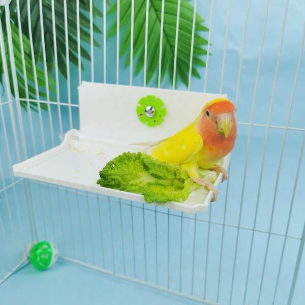 Suporte para papagaio, conjunto de brinquedos dobráveis para papagaios, suporte para vegetais, suporte multiuso para colocar vegetais, brinquedos e comida para pássaros dentro da gaiola