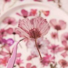 50Pcs Transparent Decor Flower Stickers For Scrapbooking PET Nature Floral Stickers For Journaling Scrapbooking Clear Flower Decals