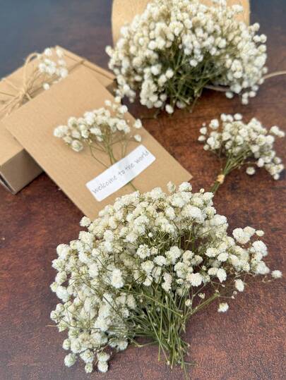 20/50/100/150/300 piezas Flores de aliento y otras flores secas - Para moldes de resina, artesanía, ramos de flores blancas marfil para accesorios para el cabello, coronas de boda, jarrones de mesa, decoración del hogar