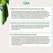 3PCS Natural Facial Scrub Pads – Soft Yet Effective Exfoliation For Smooth Skin! Ideal For Daily Cleansing & Makeup Removal. Perfect For Autumn Skincare & Holiday Pampering! - Màu xơ mướp - Xem 7