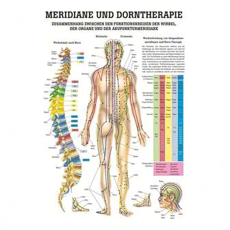 1pc Sporttec Meridians & Acupoints Anatomy Chart, Frameless 18x12 Inch Canvas Print, Medical Teaching Aid For Physiotherapy And Acupuncture Study, Physiotherapy Education | Vibrant Educational Chart | Frameless Canvas