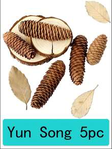 20PCS 1-3CM Mini Pinecones DIY Xmas Tree Pendant Decor Christmas Pine Cones Ornaments For Festival Party New Year Accessories(Random Style)30PCS 10pcs Set Of 4-6cm Mini Pine Cones For DIY Natural Decorations Party Hanging Crafts Christmas Tree Decorations Party Decorations Pendants A Variety Of Styles To Choose From