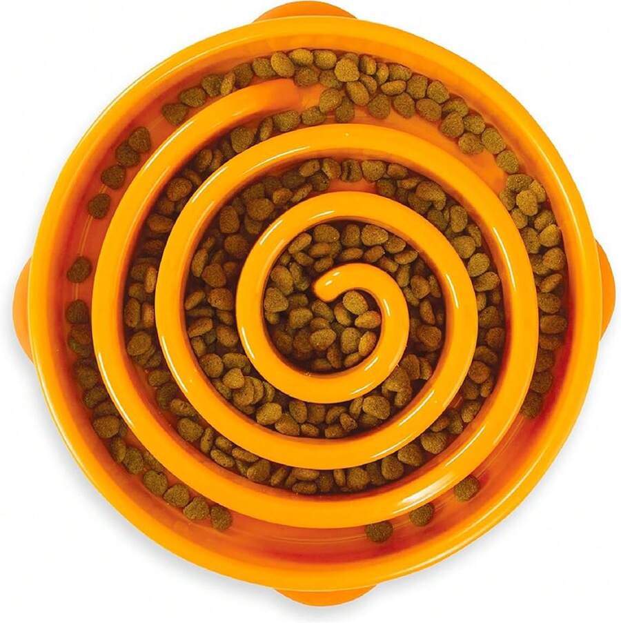 Outward Hound Large Slow Feeder Bowl, Puzzle Maze Fast Eaters, Medium To Large Dogs, Helps Prevent Bloat & Aid Digestion, Holds 4 Cups Wet Or Dry Food, Non-Slip, Made Without BPA, Turquoise - Orange - View 1