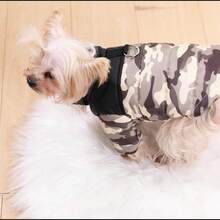 1 件宠物迷彩棉质牵引带，冬季保暖加厚滑雪夹克，适合小型/中型犬和猫 - 綠色 - 查看 5