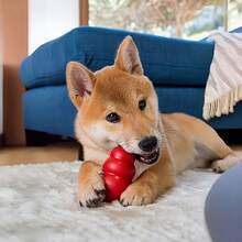 Medium Classic Dog Toy - Grab And Chew Toy Suitable For Medium Dogs, Stuffed With Treats, Asymmetrical Bounce To Extend Play Time, Durable Natural Rubber Material, Medium Dog Toy | Geometric Pattern Toy | Rubber Dog Toy