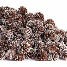 50 pezzi Pigne di Natale naturali mini - Pigne di Natale innevate mini da 2,5 cm - Pigne innevate mini di Ringraziamento per fai da te, decorazioni, vasi, autunno, inverno, albero di Natale