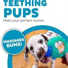 Outward Hound Cutie Chewies Hedgehog Dental Dog Chew Toy, Blue - MàuD - Xem 2