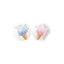 Whats Scoop Gender Reveal Boy Or Girl Stickers, Pink Or Blue Gender Reveal Decorations - 40 Count - 舀 - 查看 2