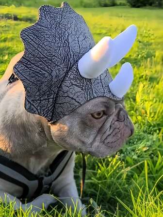 宠物三角龙变身帽！万圣节、派对、可爱宠物照片等趣味狗狗服装头饰