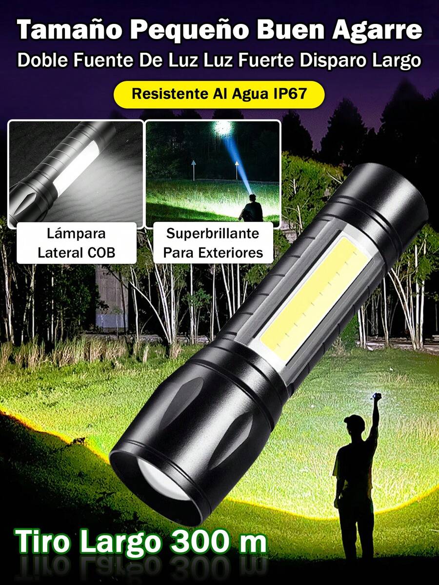 Flashlights & Torches