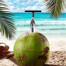 1 件不锈钢椰子开壳器，创意椰子尖刺工具，专用椰子壳开壳器，水果削皮器 - 彩色 - 查看 4