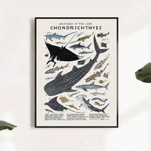 1pc Unframed Canvas Poster, Modern Art, Chondrichthyes Sharks, Skates, Rays Poster, Ideal Gift For Bedroom Living Room Corridor, Wall Art, Wall Decor, Winter Decor, Room Decoration