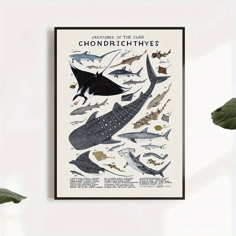 1pc Unframed Canvas Poster, Modern Art, Chondrichthyes Sharks, Skates, Rays Poster, Ideal Gift For Bedroom Living Room Corridor, Wall Art, Wall Decor, Winter Decor, Room Decoration
