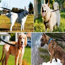 5ft/6ft/10ft Nylon Dog Leash, Easy-To-Use Collar Hook, Durable For Small, Medium And Large Dogs, Suitable For Outdoor Walking, Playing, Camping Or Yard Use