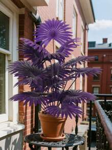 1pc Artificial Palm Tree Large Leaf Banana Leaf Fan Leaf, Suitable For Indoor/Outdoor Decor, Home, Hotel, Garden, Office, Wedding, Holiday Scenes, Floor Standing, Multi-Purpose Room Decor, Greenery Architectural Style (No Planter)