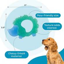 Outward Hound Cutie Chewies Hedgehog Dental Dog Chew Toy, Blue - MàuD - Xem 3