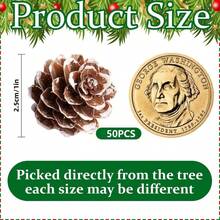 50 pezzi Pigne di Natale naturali mini - Pigne di Natale innevate mini da 2,5 cm - Pigne innevate mini di Ringraziamento per fai da te, decorazioni, vasi, autunno, inverno, albero di Natale