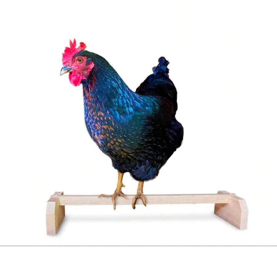 Solid Chicken Perch Stand, Chicken Entertainment Bar, Accessories For Hens, Chicks And Poultry