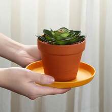 Un juego de bandejas para huesos - Color macarrón - Bandeja para aperitivos y dulces, bandeja para huesos, bandeja de mesa, bandeja de basura con caja de almacenamiento base, adecuada para picnics al aire libre, cocinas del hogar, restaurantes, escuelas