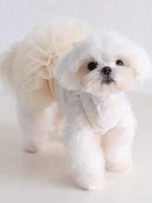 1 pieza Vestido para mascota, falda de tul elegante estilo ballet, vestido de princesa romántico, adecuado para perros y gatos pequeños, sin mangas, transpirable, para primavera/verano