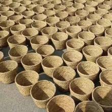 1pc Handwoven Straw Planter Basket, Wicker Plant Pot Cover For Home, Living Room Decor