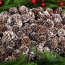 50 pezzi Pigne di Natale naturali mini - Pigne di Natale innevate mini da 2,5 cm - Pigne innevate mini di Ringraziamento per fai da te, decorazioni, vasi, autunno, inverno, albero di Natale