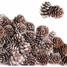 50 pezzi Pigne di Natale naturali mini - Pigne di Natale innevate mini da 2,5 cm - Pigne innevate mini di Ringraziamento per fai da te, decorazioni, vasi, autunno, inverno, albero di Natale