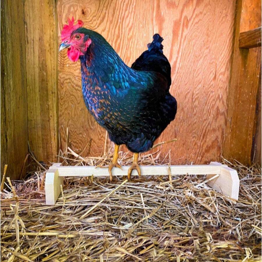 Solid Chicken Perch Stand, Chicken Entertainment Bar, Accessories For Hens, Chicks And Poultry