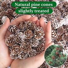 50 pezzi Pigne di Natale naturali mini - Pigne di Natale innevate mini da 2,5 cm - Pigne innevate mini di Ringraziamento per fai da te, decorazioni, vasi, autunno, inverno, albero di Natale