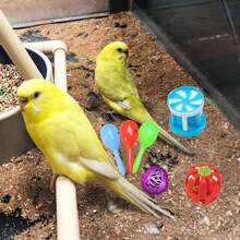 9 件装鸟铃球套装，用于咀嚼玩耍训练，彩色鹦鹉笼子零食玩具，玄凤鹦鹉，长尾小鹦鹉，锥尾鹦鹉，小宠物脚，小猫小狗，颜色随机 - 彩色 - 查看 2