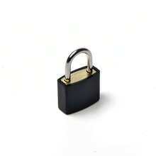 1把小铜锁 箱包箱包挂锁 邮箱盒子底盘锁 小锁头