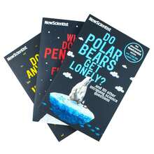 New Scientist 3 Books Set (Why Don't Penguins' Feet Freeze, Do Polar Bears Get Lonely, Does Anything Eat Wasps)