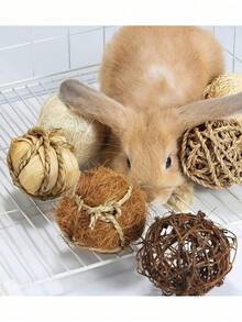 9件套小型动物磨牙玩具套装，包含多种兔子球，适合兔子、仓鼠、豚鼠和其他小型宠物，可作为圣诞节、生日、训练、情人节或其他小型动物礼物。 - 彩色 - 查看 3