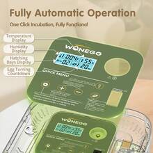 12 Eggs Incubator For Hatching Eggs, Temp And Humidity Control, 360°View Auto Water Adding, Egg Candler Egg Turning Countdown Hatching Days Display Incubators For Hatching Chickens Ducks Quails Eggs - Green - View 4