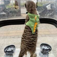 1pc Adjustable Padded Warm Dinosaur Shaped Harness Leash, Cute Dinosaur Design With Bell, Suitable For Small Pets