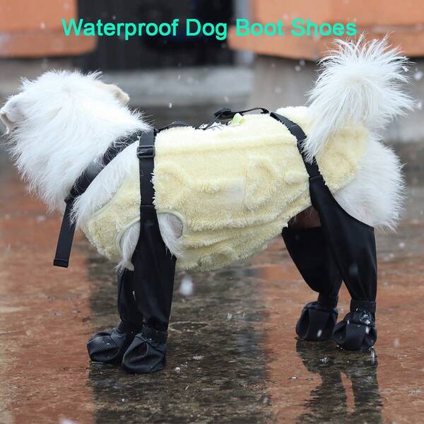 Water-Resistant Dog Shoes For Small Dogs