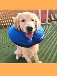 1pc Multi-Size New Pet Collar Rehabilitation Collar (Not Inflated, Need To Blow It Up Yourself When You Receive It), Suitable For Cats, Small And Medium-Sized Dogs, Dogs