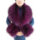 Purplish Red