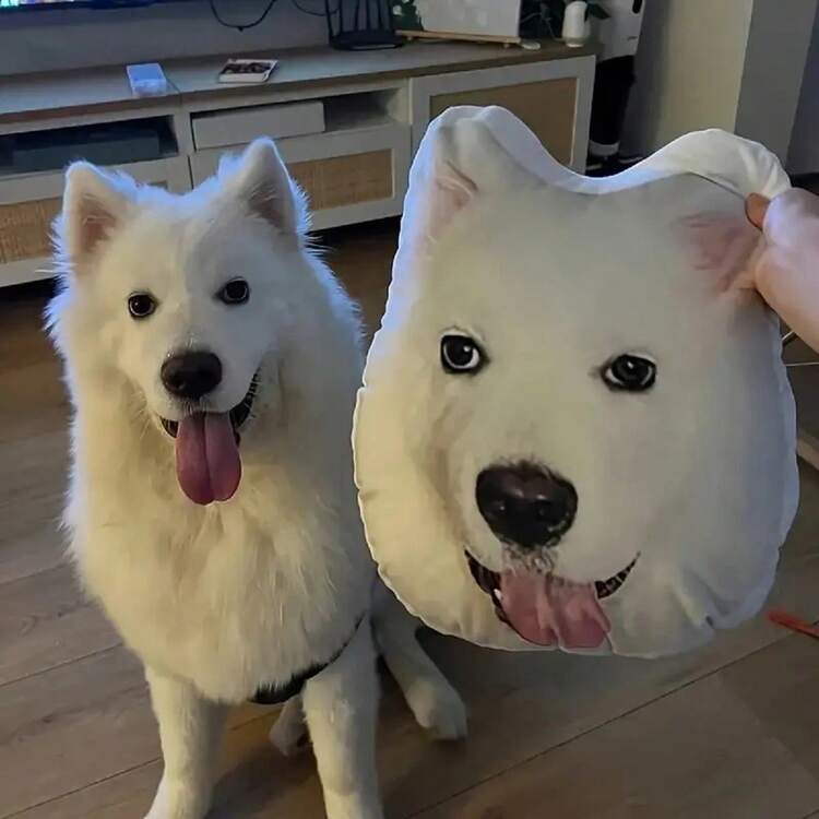 Customized Throw Pillow, Cute Cartoon Pattern Design, Portrait Customization, Double-Sided Printing, Suitable For Bedside Mini Plush Companion, Sofa Cushion, Unique Birthday Gift, Christmas, Halloween, Thanksgiving, For Family And Friends - Upload Pictures to Customize Pillows - View 5