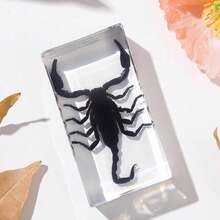 1 szt. (7,3 cm) przezroczysta żywica owad nosorożec chrząszcz pająk skorpion stonoga, ośmiokątny pająk potwór kreatywne ozdoby na biurko, model gigantycznego chrząszcza stonogi z lasu pierwotnego, magiczna natura prawdziwa rzadka odmiana owadów, wysoka przezroczystość, trwała konserwacja, przezroczysta żywica naturalny owad kreatywne małe ozdoby, prezent, dla miłośników owadów