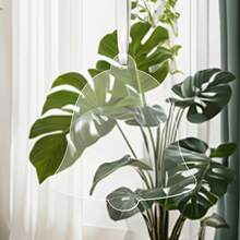 10pcs Clear Acrylic Christmas Ornaments, Blank Acrylic Decoration For Carving DIY Projects And Art Crafts, Holiday Decoration Hanging Ornaments,Christmas Decor