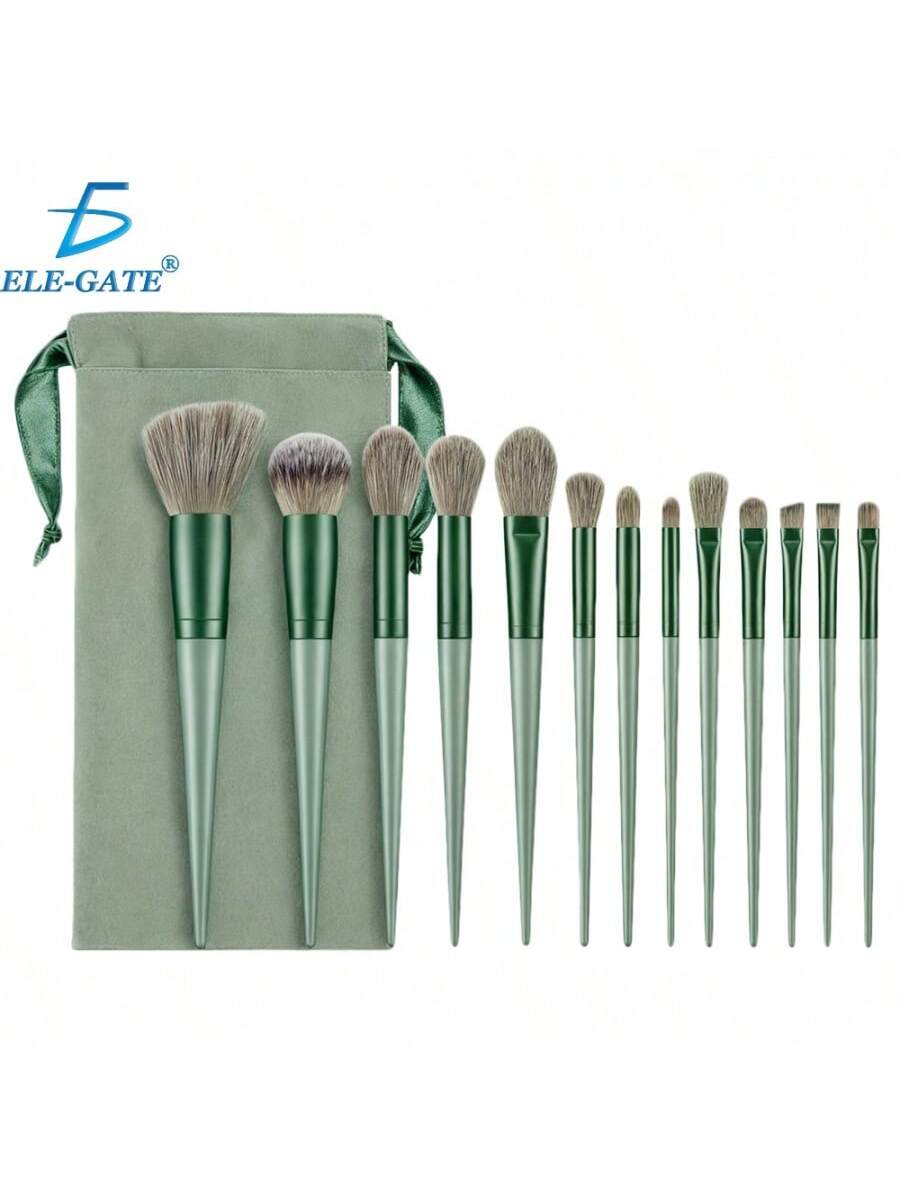 Set profesional de 13 pinceles