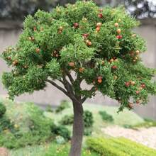 1/3 件 4-6 英寸人造果树模型微型农场微景观装饰乡村 DIY 火车沙箱立体模型场景，娃娃屋配件 - As shown in the figure - 查看 6