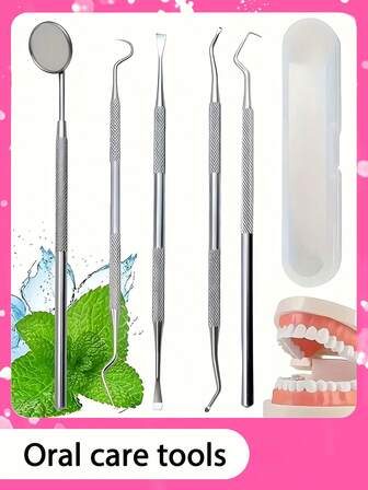 不锈钢牙医工具包，牙齿清洁工具，不锈钢牙签清洁工具，不锈钢双头舌头清洁工具，可重复使用，适合宠物和成人家庭使用