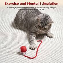 互动式猫狗电动玩具，智能滚球，360°智能自动滚动宠物球，高速移动玩具，适合无聊的室内猫咪，可充电（红色）