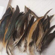 50pcs 20-25cm Natural Rooster Tail Feathers, Bulk For DIY Crafts, Hats, Costumes, Holiday Party Decorations (Natural) - Multicolor - View 11
