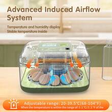 12 Eggs Incubator For Hatching Eggs, Temp And Humidity Control, 360°View Auto Water Adding, Egg Candler Egg Turning Countdown Hatching Days Display Incubators For Hatching Chickens Ducks Quails Eggs - Green - View 3